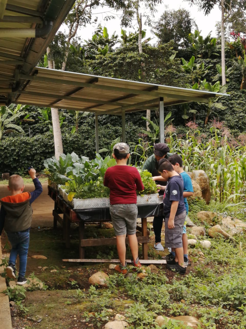 Casas de la Alegría – Childcare for children of
coffee pickers